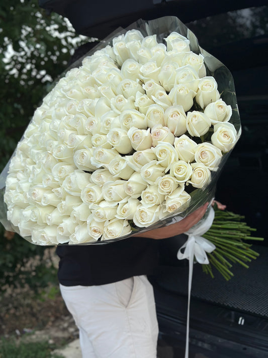Buchet de trandafiri albi premium Alba – TerraFlorra