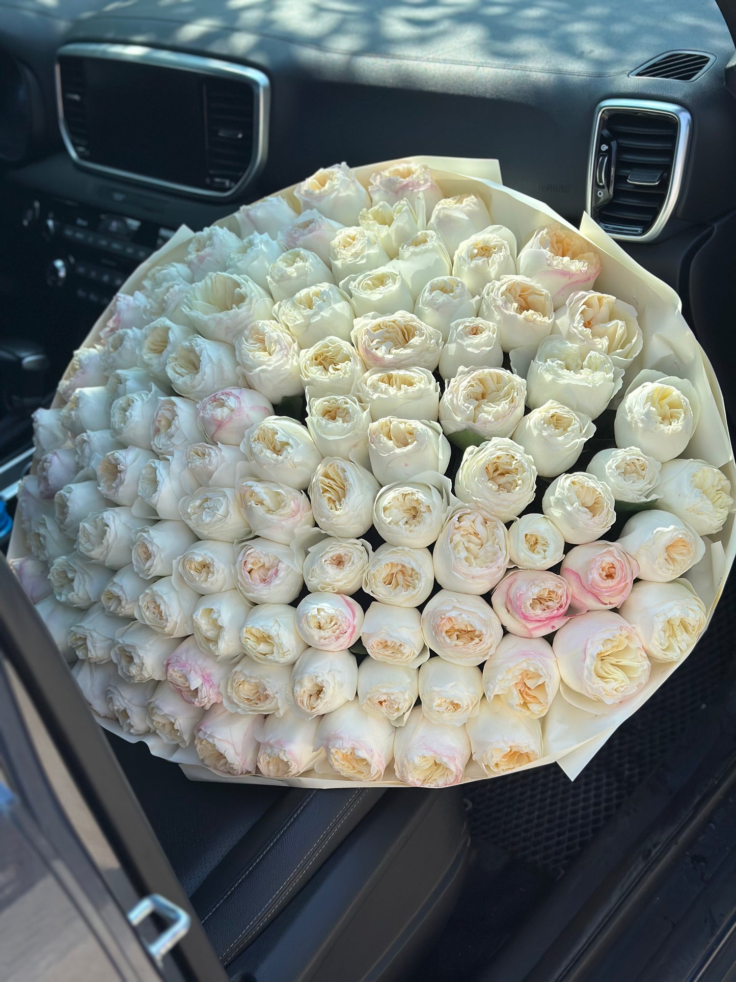 Trandafiri Imbujorati