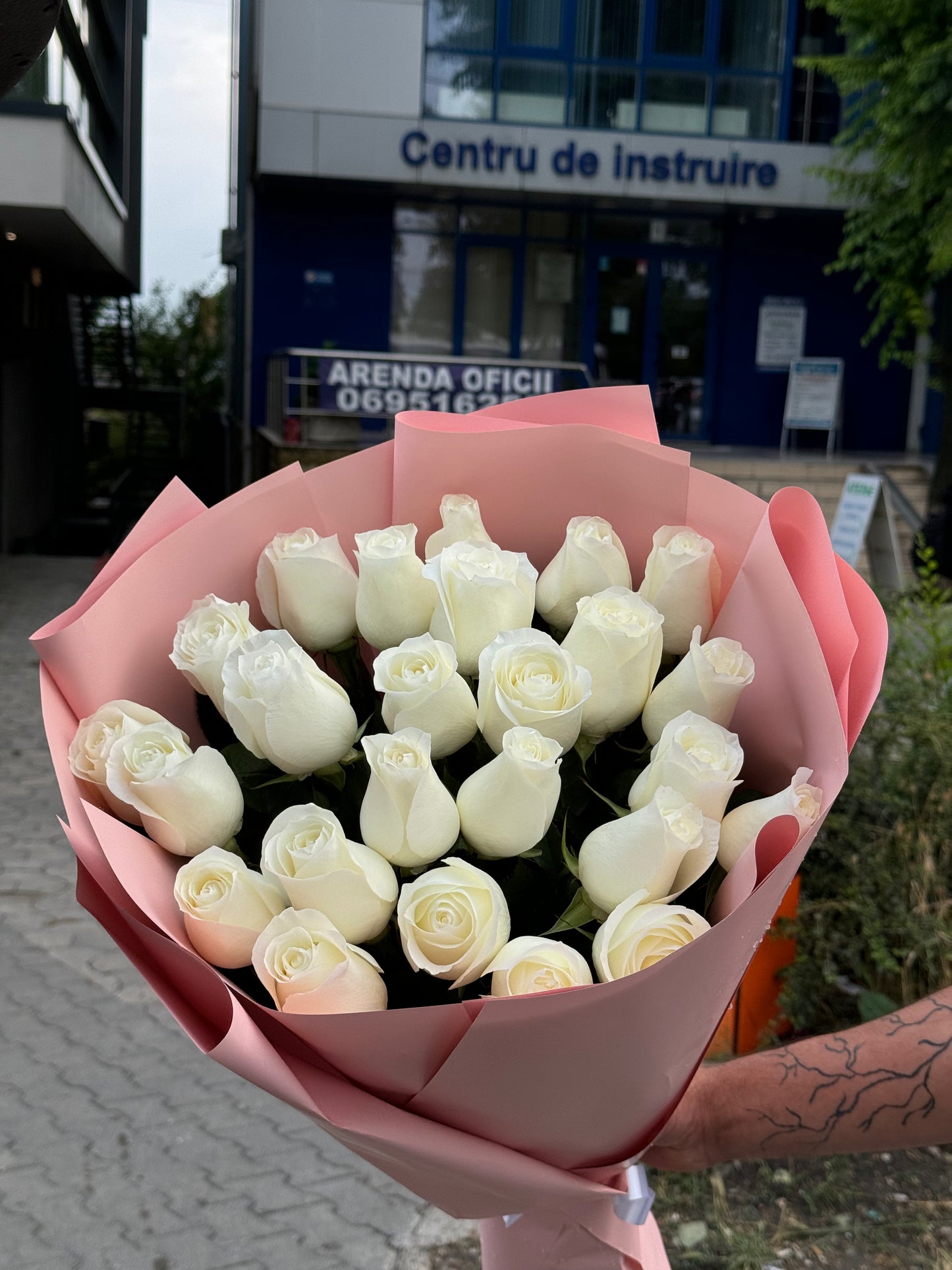 Buchet de trandafiri albi premium Proud – TerraFlorra