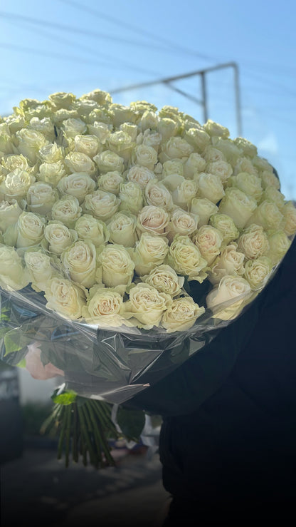 Buchet de trandafiri albi premium Mondial – TerraFlorra