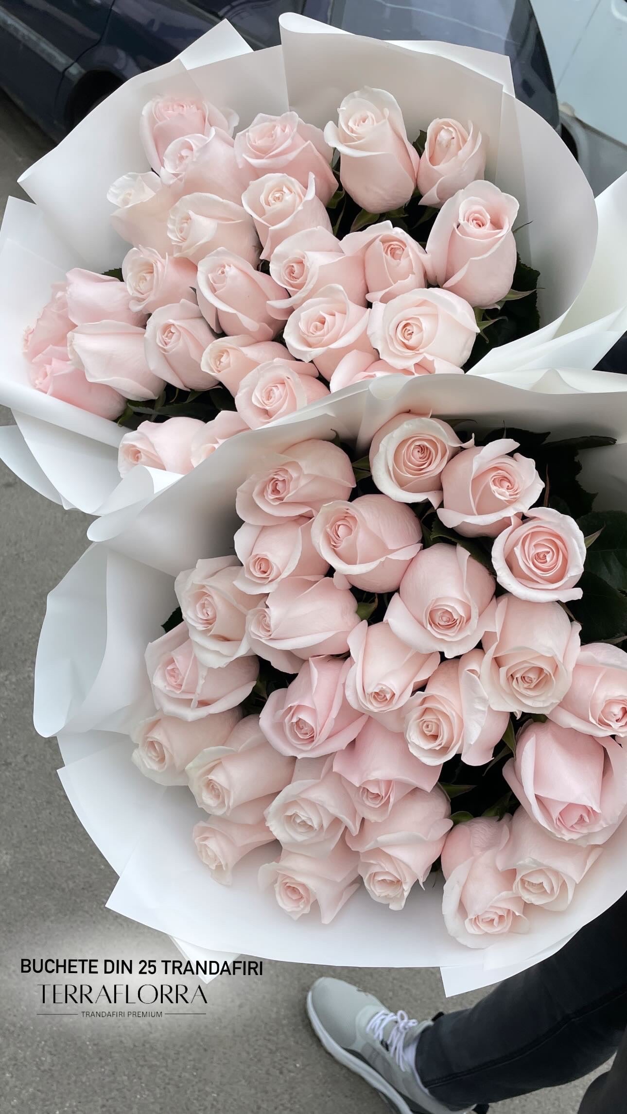 Buchet de trandafiri roz premium Pomarosa – TerraFlorra