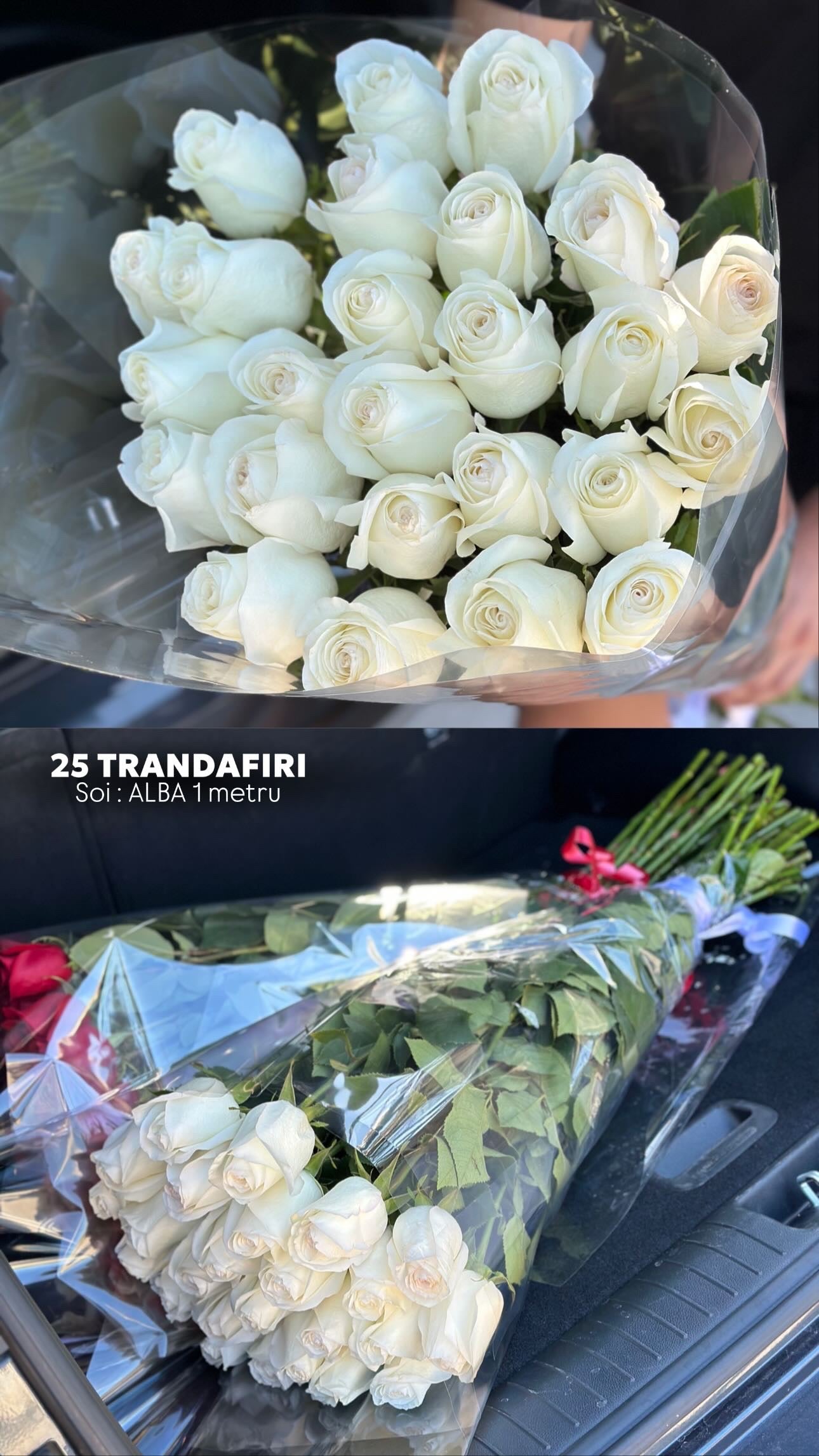 Buchet de trandafiri albi premium Alba – TerraFlorra