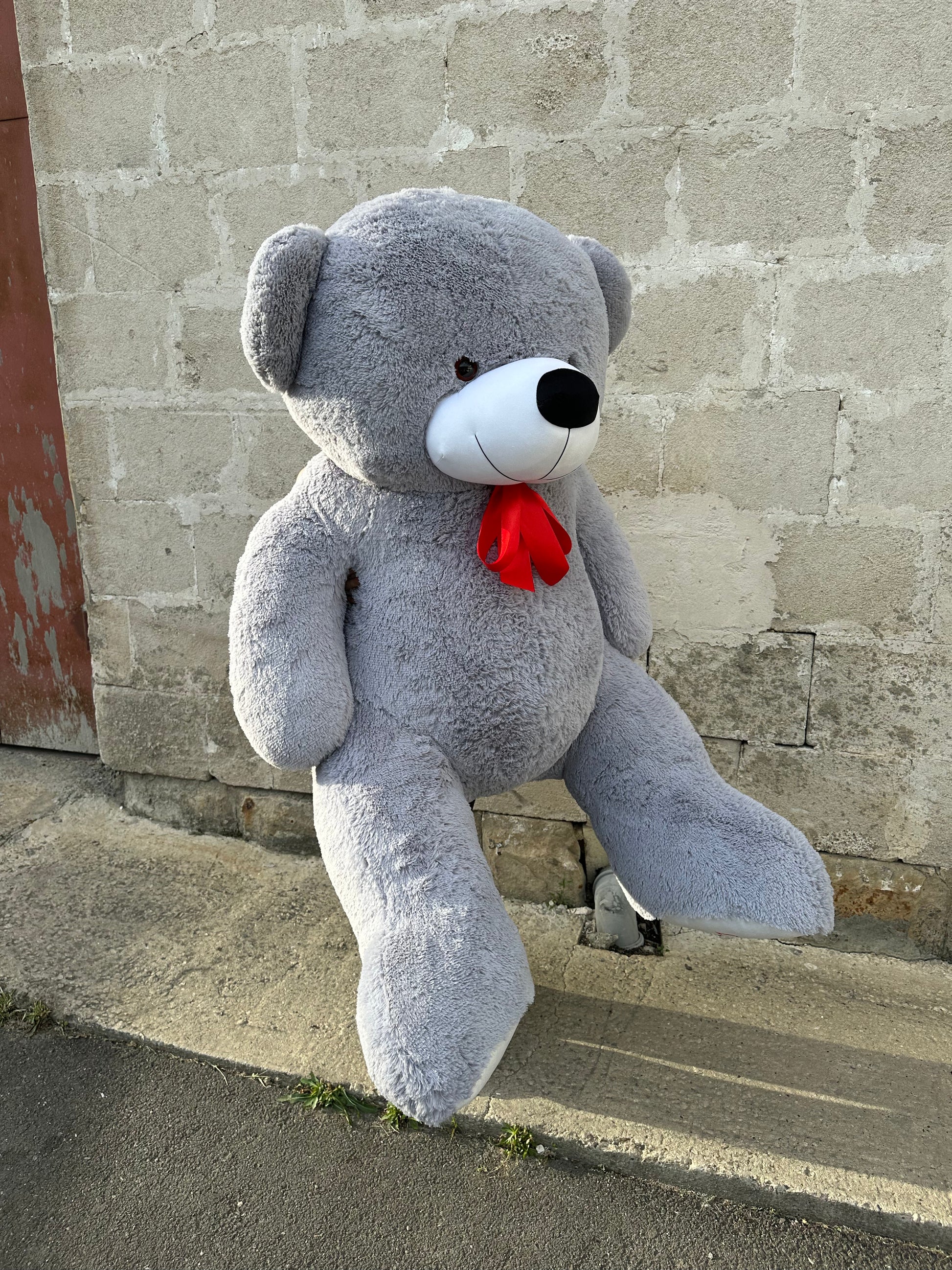 Ursuleț de pluș moale pentru cadou – TerraFlorra
