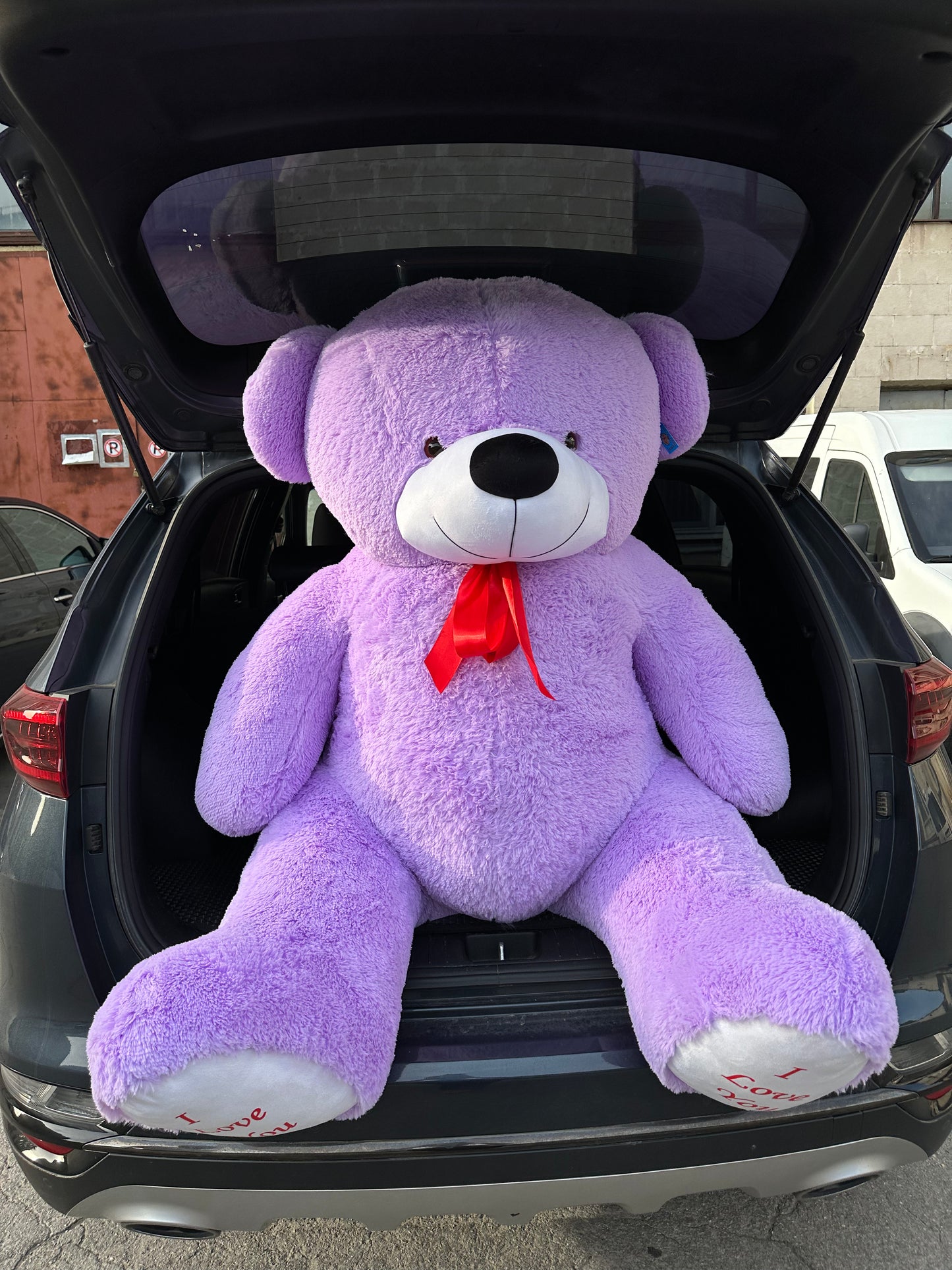 Ursuleț de pluș violet pentru cadou – TerraFlorra
