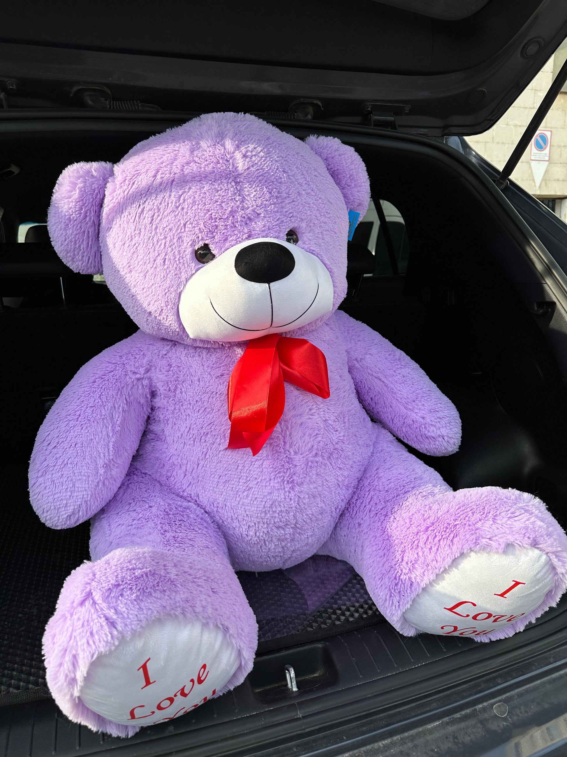 Ursuleț de pluș moale pentru cadou – TerraFlorra
