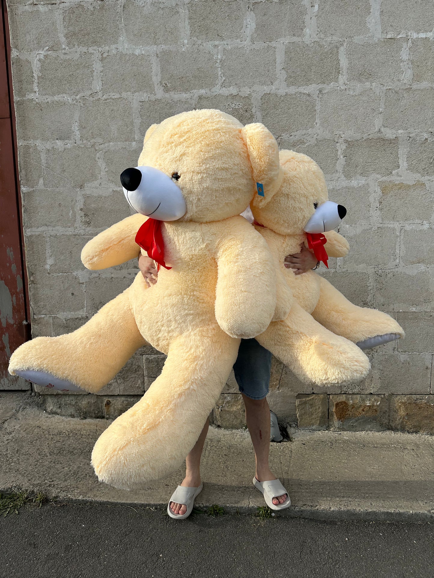 Ursuleț de pluș moale pentru cadou – TerraFlorra
