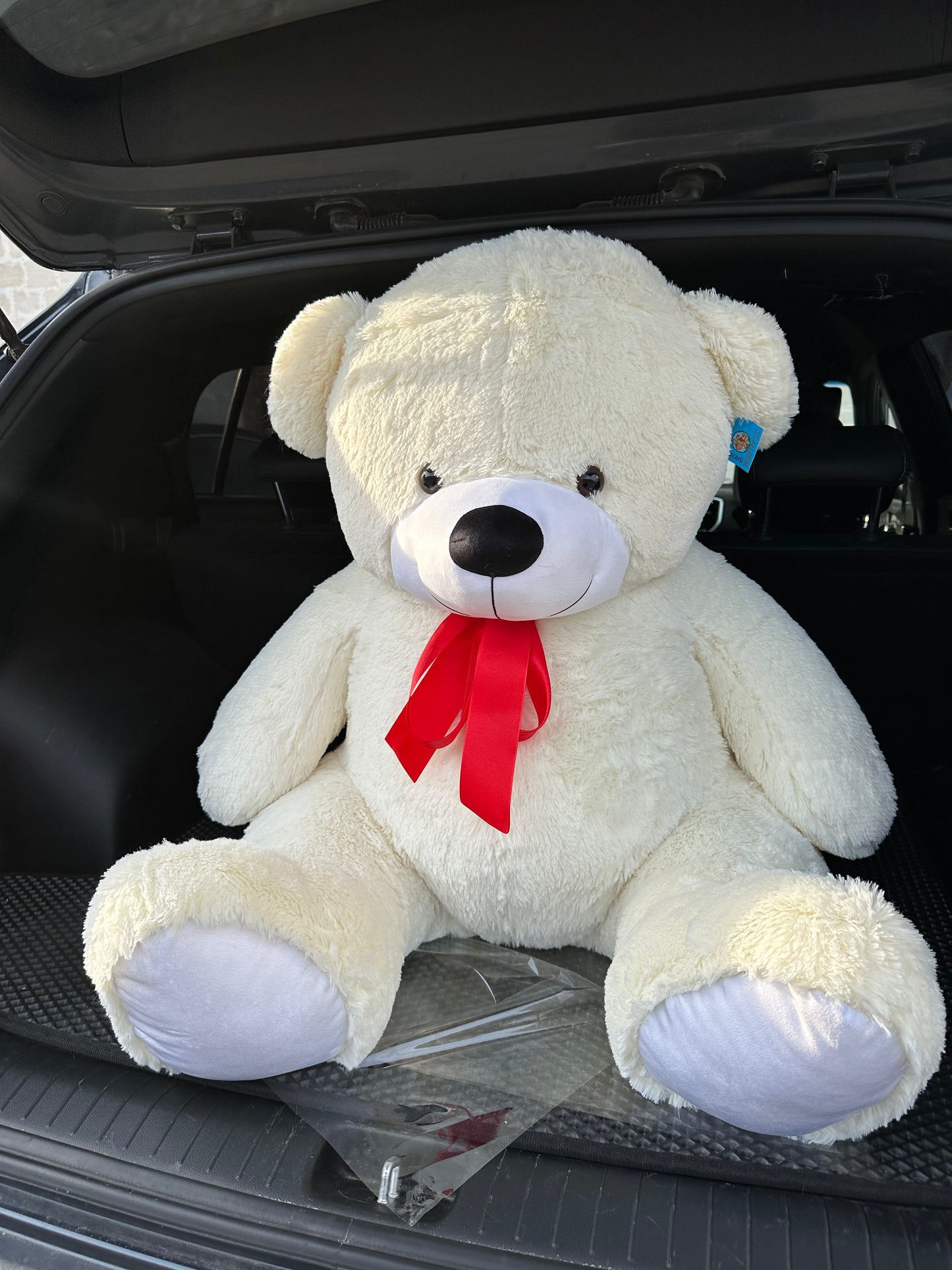 Ursuleț de pluș alb pentru cadou – TerraFlorra
