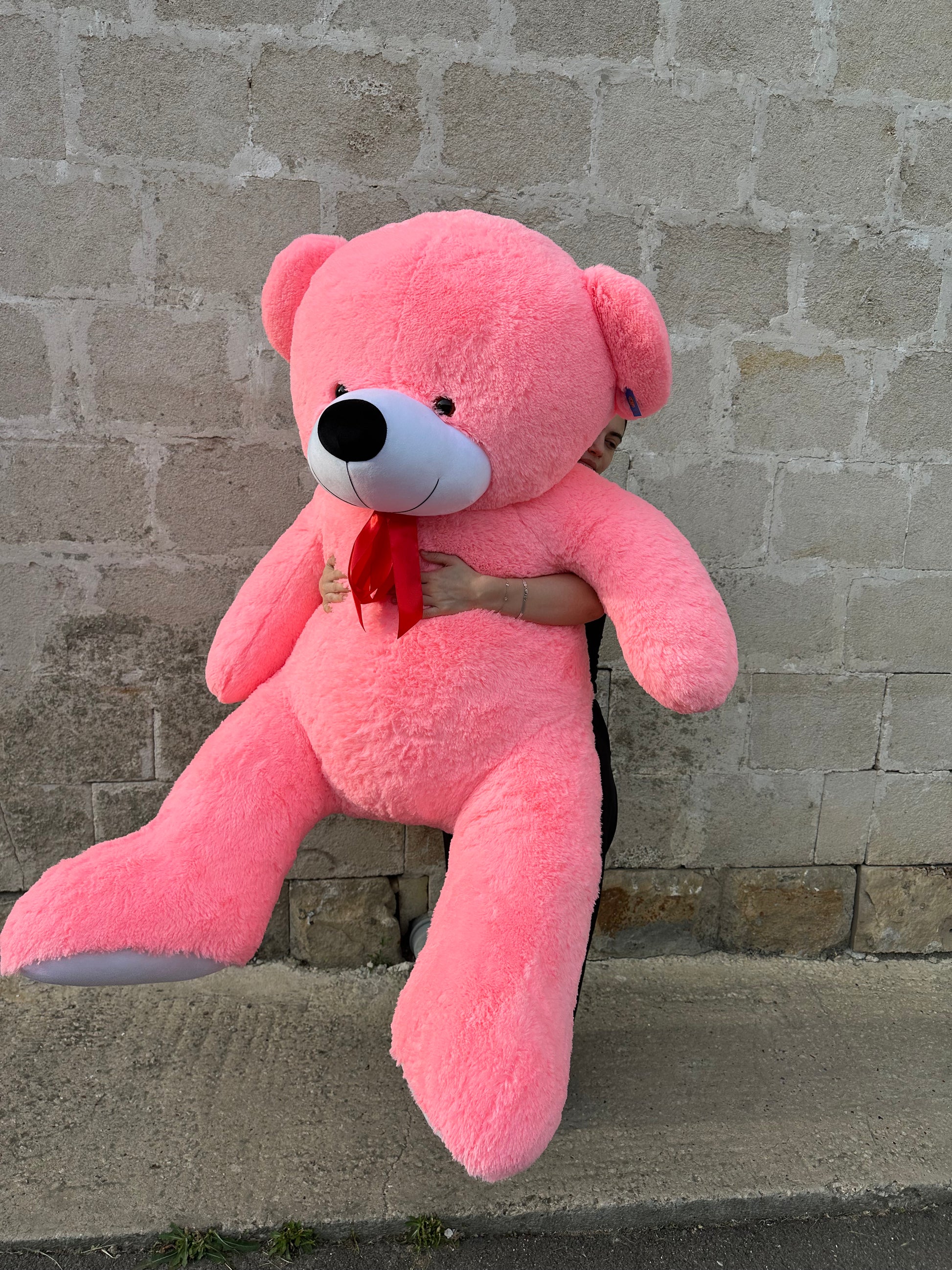 Ursuleț de pluș roz pentru cadou – TerraFlorra
