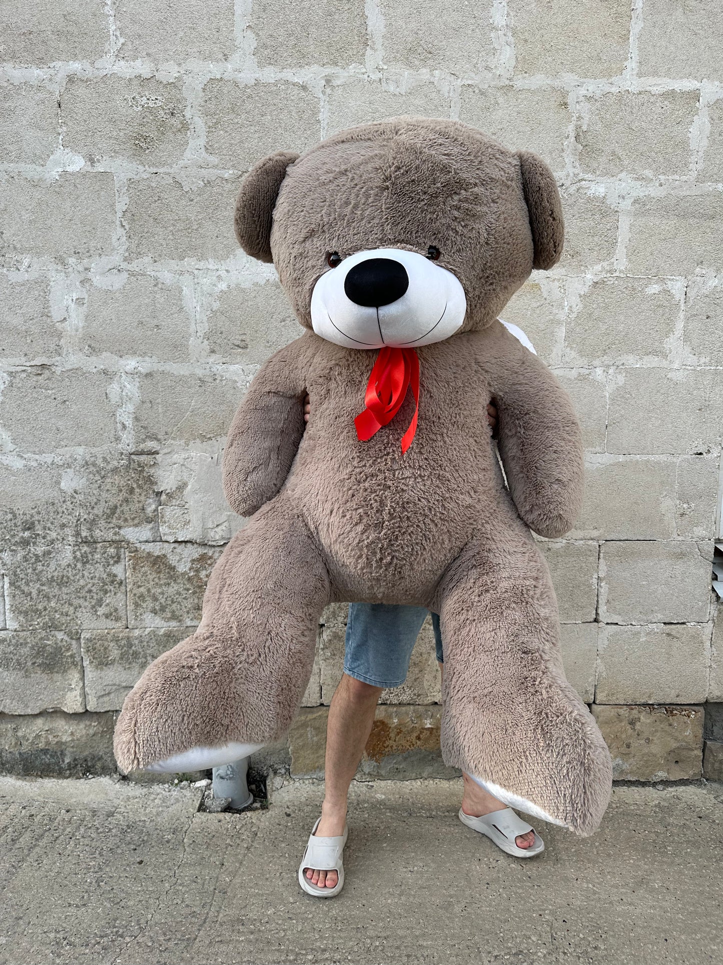 Ursuleț de pluș moale pentru cadou – TerraFlorra
