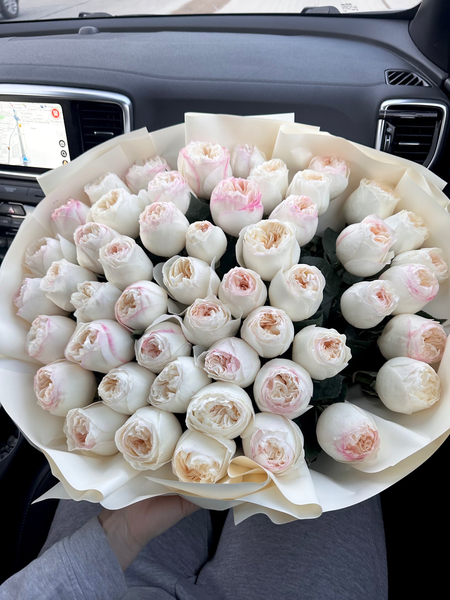 Trandafiri Imbujorati