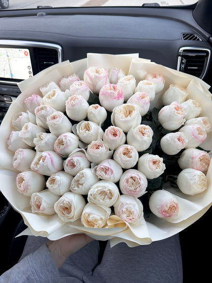 Trandafiri Imbujorati