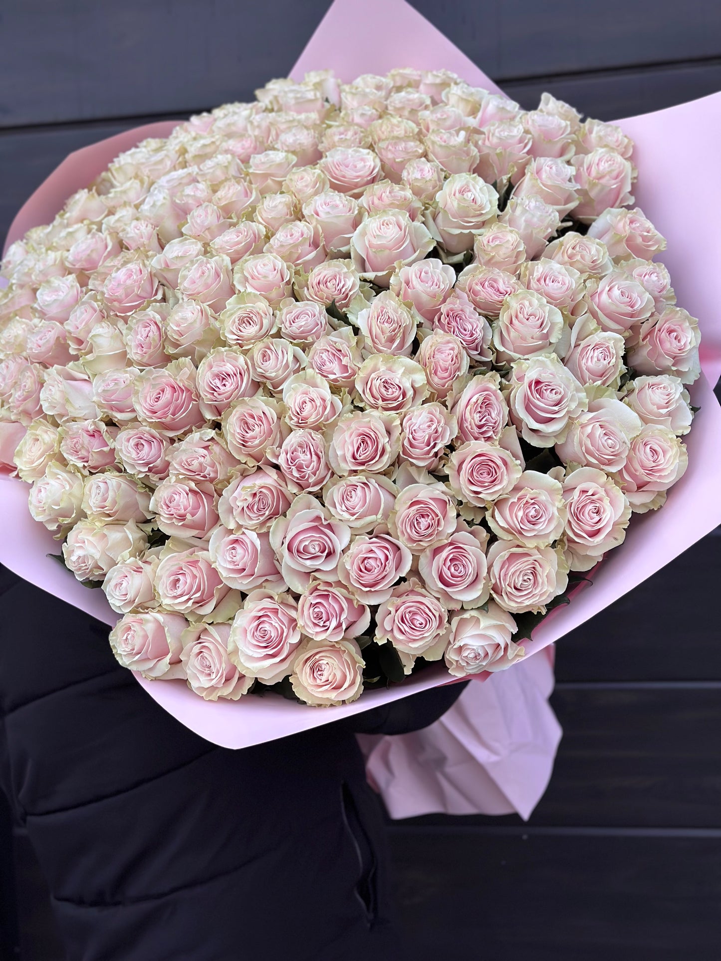 Trandafiri roz - Pink Mondial