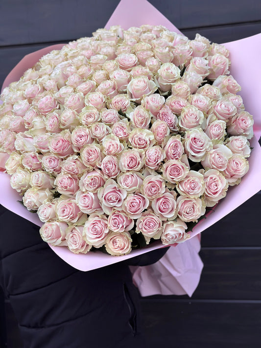 Trandafiri roz - Pink Mondial