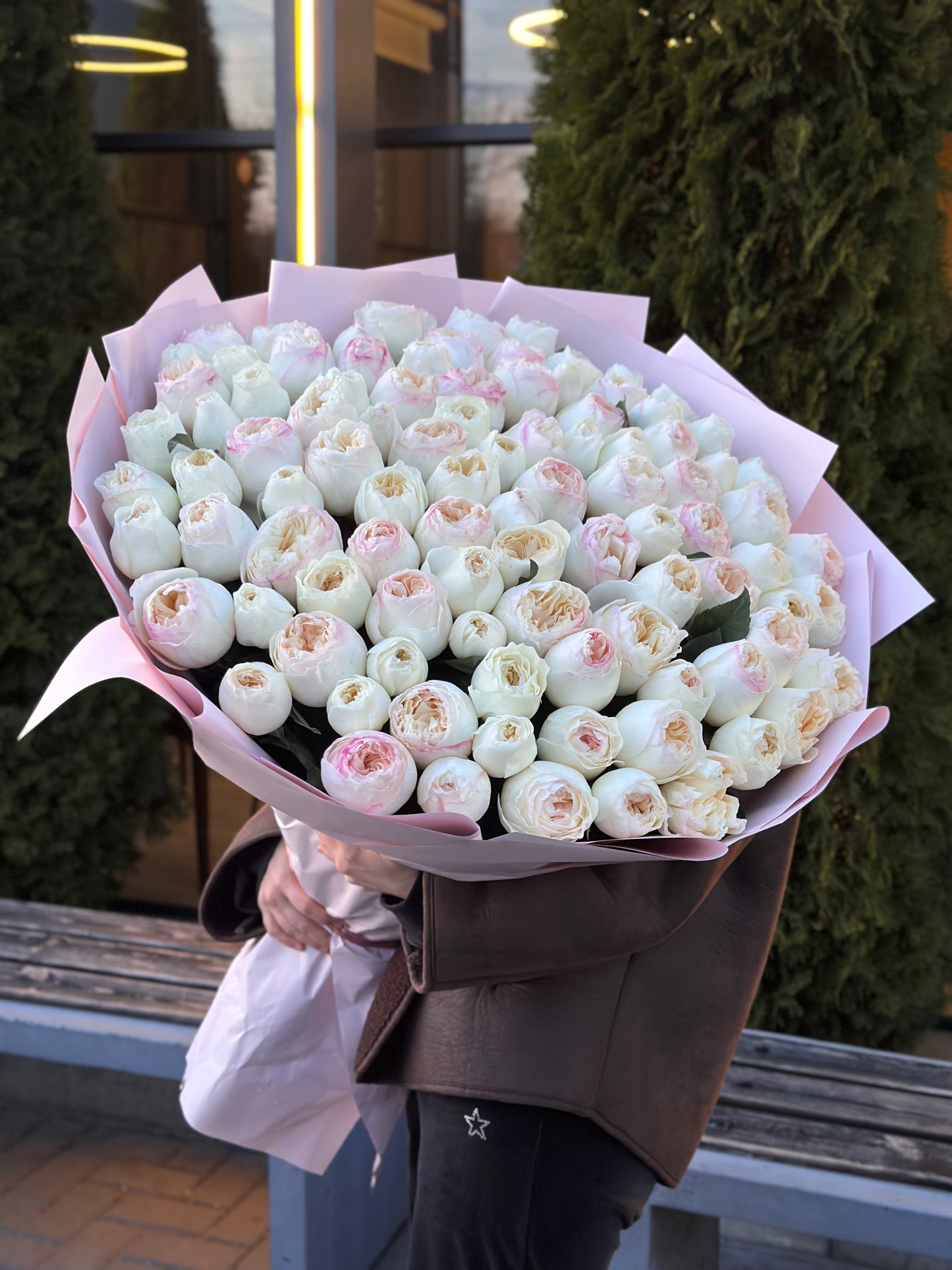 Trandafiri Imbujorati