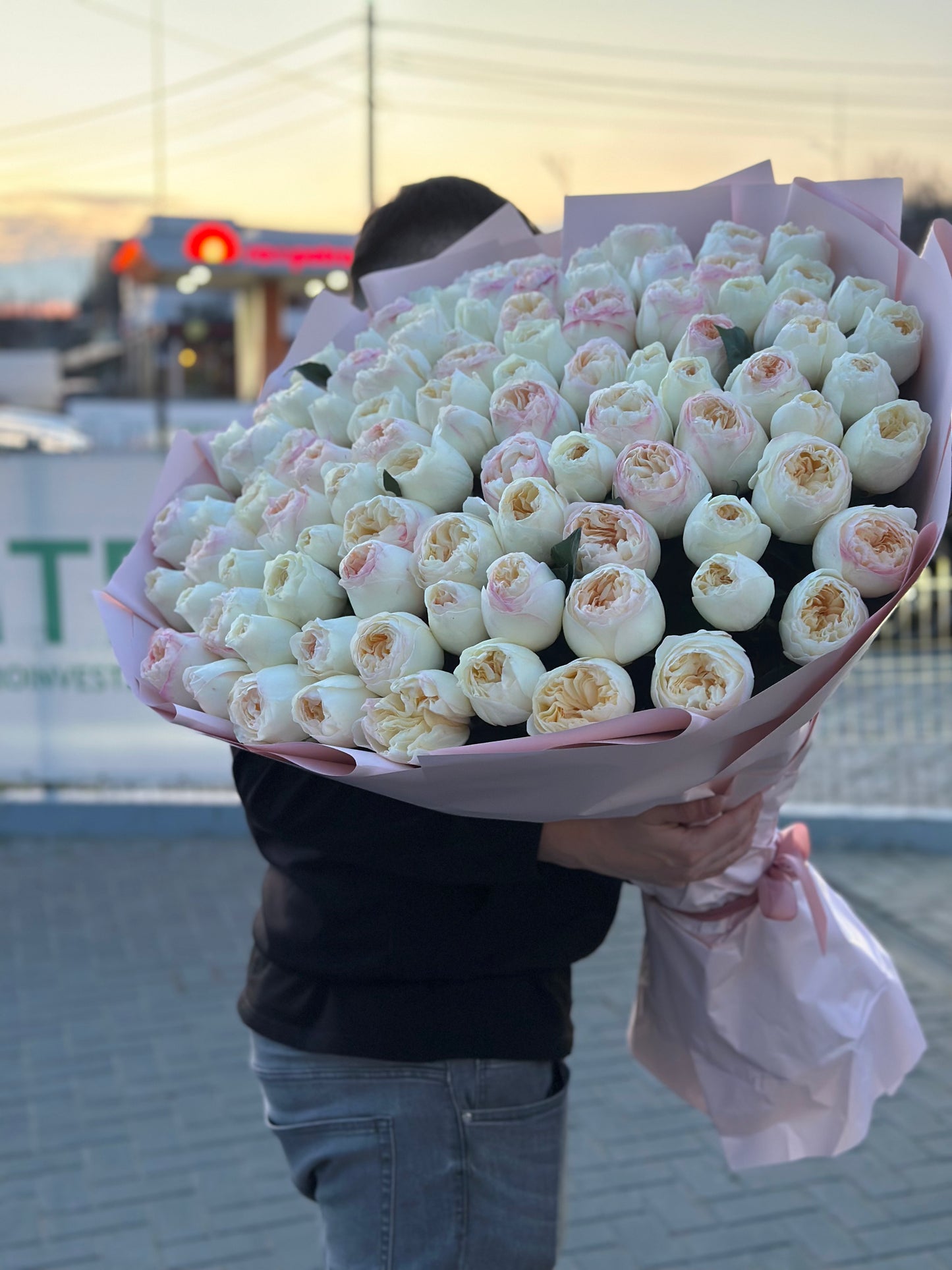 Trandafiri Imbujorati