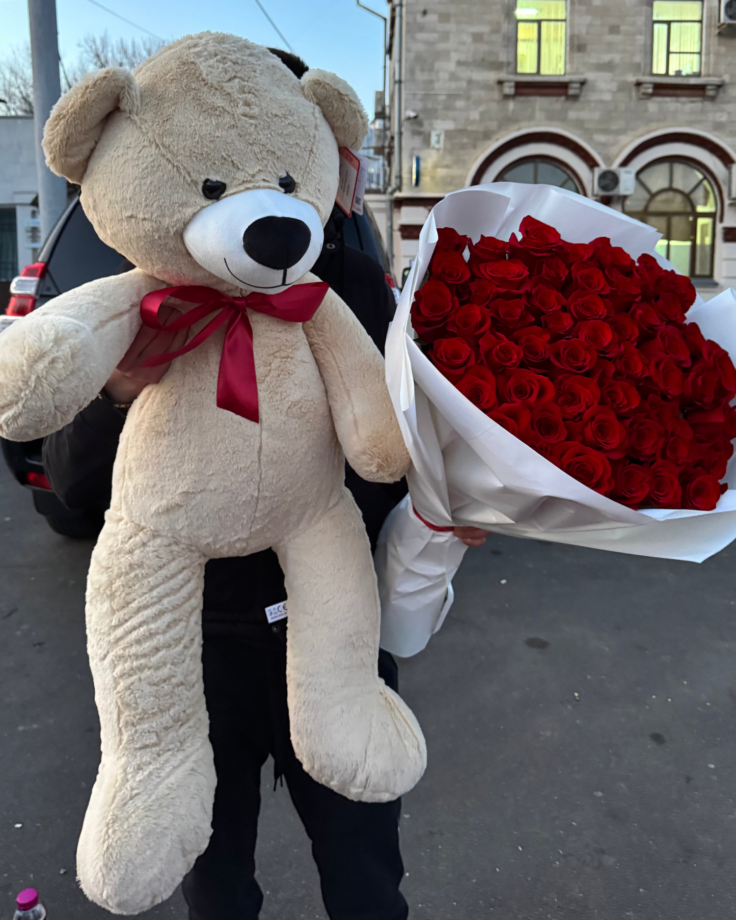 Ursuleț de pluș moale pentru cadou – TerraFlorra
