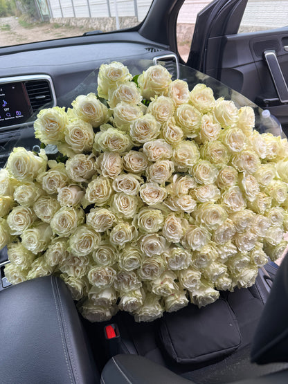 Buchet de trandafiri albi premium Mondial – TerraFlorra