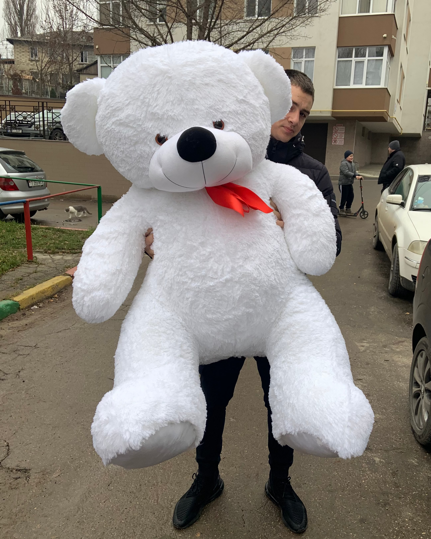 Ursuleț de pluș moale pentru cadou – TerraFlorra
