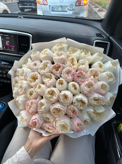 Trandafiri Imbujorati