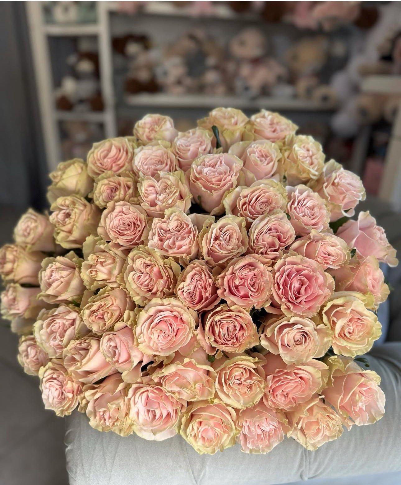 Trandafiri roz - Pink Mondial