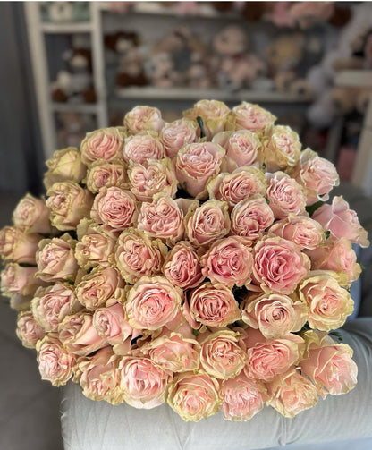 Trandafiri roz - Pink Mondial