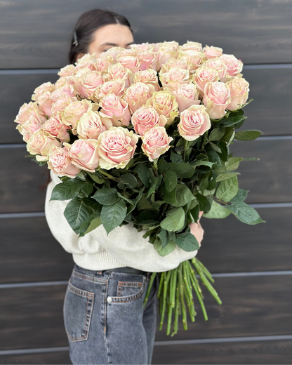 Trandafiri roz - Pink Mondial