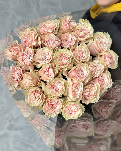 Trandafiri roz - Pink Mondial