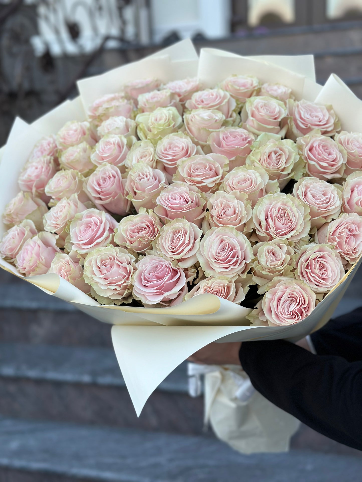 Trandafiri roz - Pink Mondial