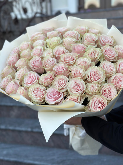 Trandafiri roz - Pink Mondial