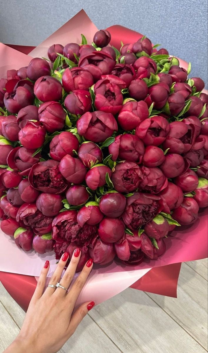 Bujori Red Charm
