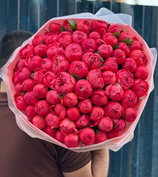 Bujori Coral Charm