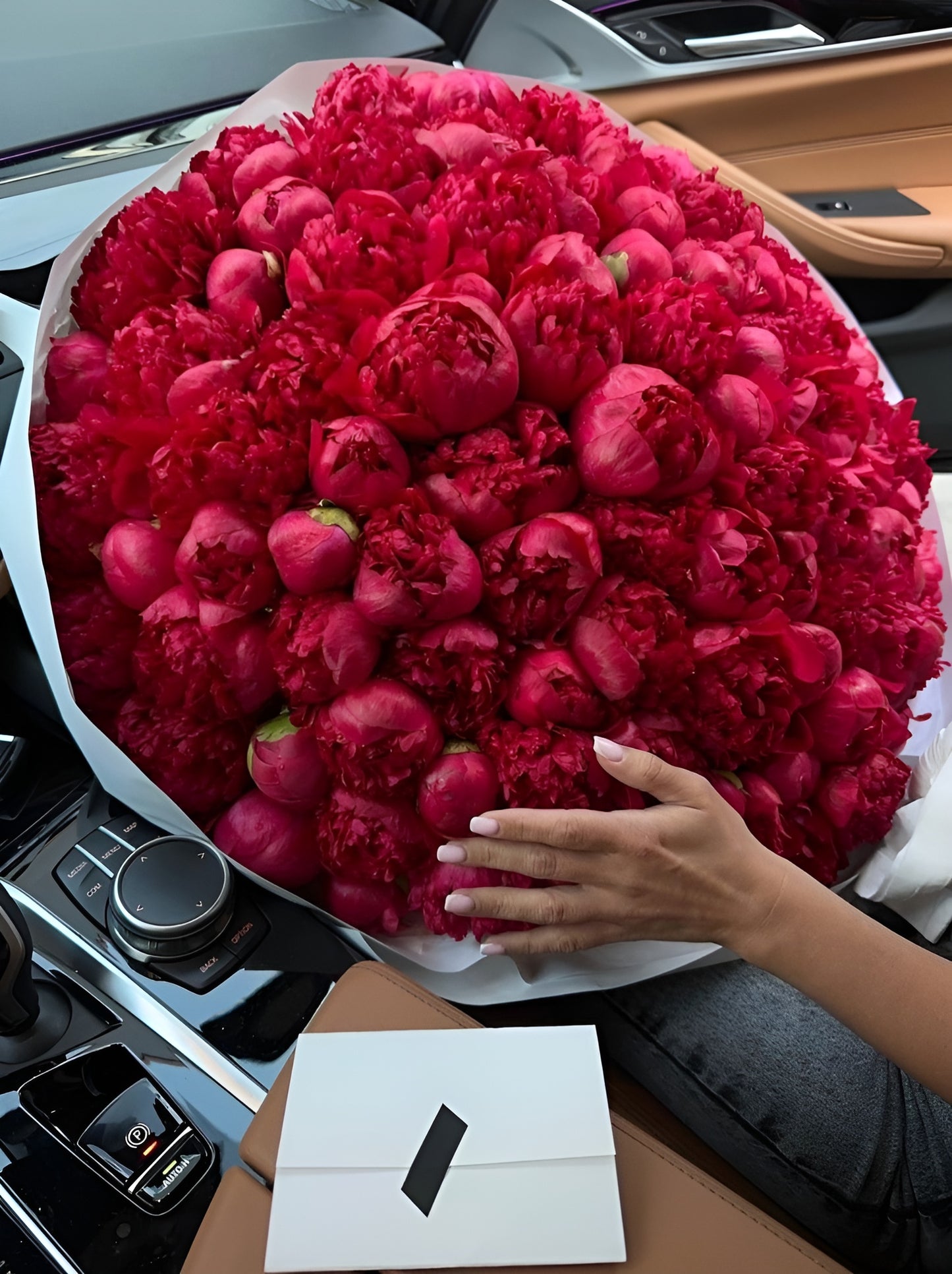 Bujori Red Charm