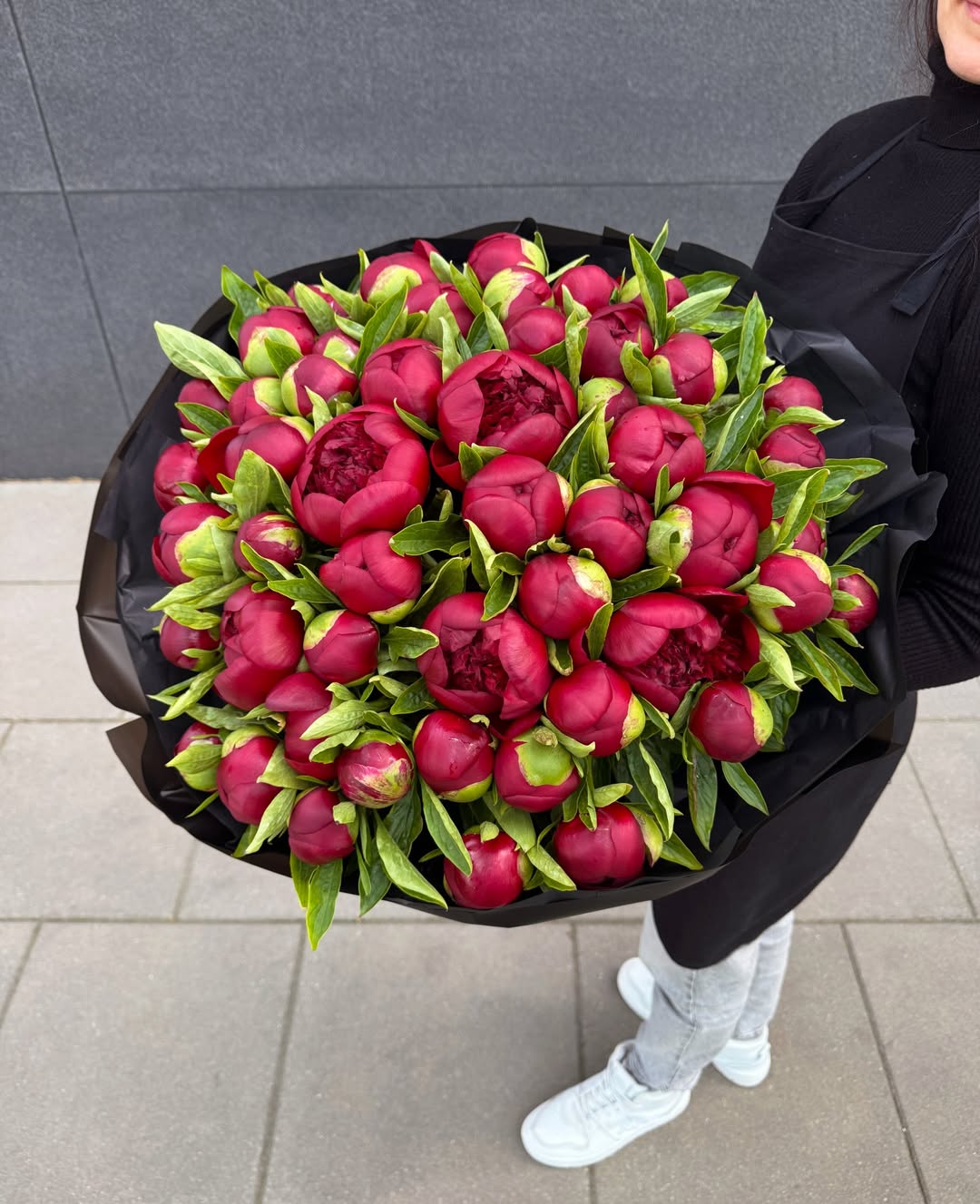 Bujori Red Charm