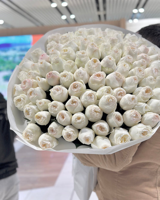 Trandafiri Imbujorati